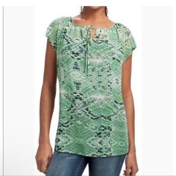 Cabi Sheer Green Printed Blouse Snakeskin Print Floaty Style #746 Small Romantic - Picture 1 of 8